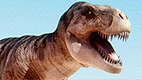 Dinosaurier - Spuren in der Urzeit